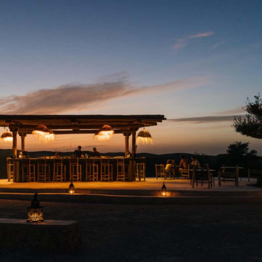 From Marrakech: Agafay Desert Sunset Dinner with Live Show - The guides make a real difference