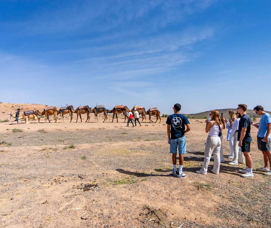 From Marrakech: Agafay Sunset Camel Tour with Dinner & Show - How the $27 price holds up