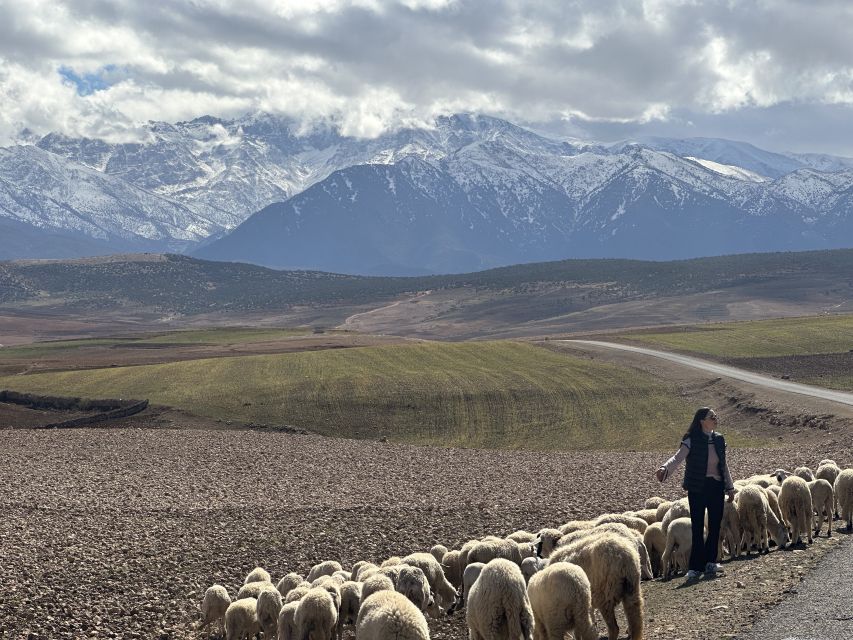 From Marrakech: Atlas Mountains 4-Day Hike with Hotels - Why four days is the right length for the Atlas