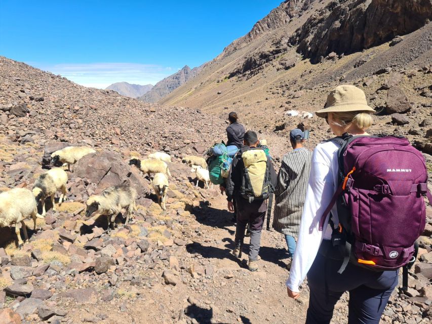 From Marrakech: Atlas Mountains 4-Day Hike with Hotels - Day three: Oak trees and the red Azzaden Valley