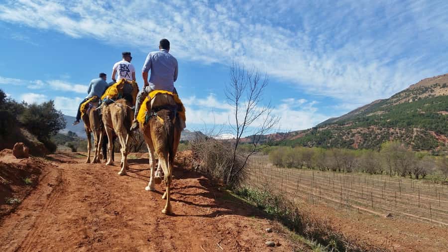 From Marrakech: Atlas Mountains 45-Minute Horseback Ride - Tahnaout and the first mountain views