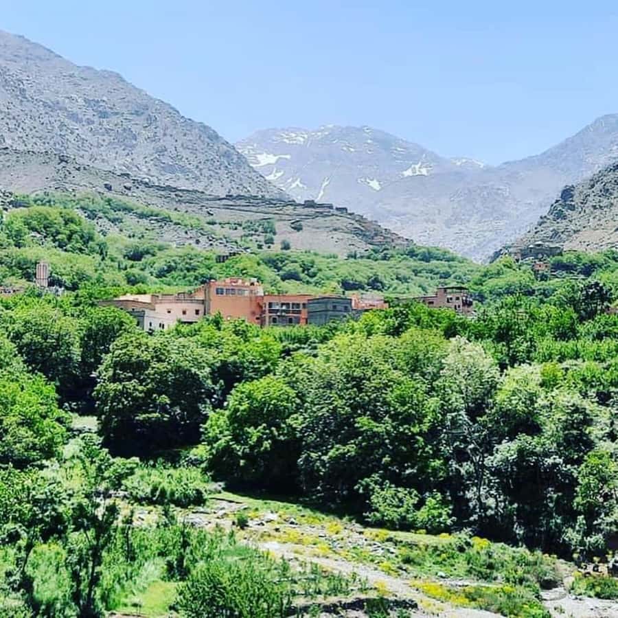 From Marrakech: Atlas Mountains and Berber Village Day Trip - A Berber lunch with a mountain view