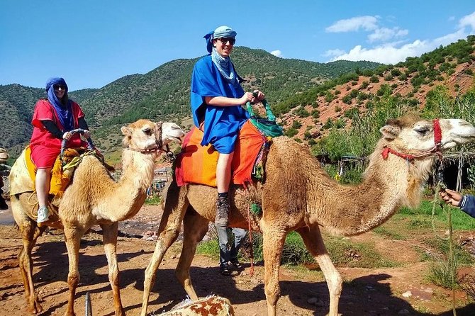 From Marrakech: Atlas Mountains and Berber Villages Day Trip - Reaching Imlil and meeting the mule team