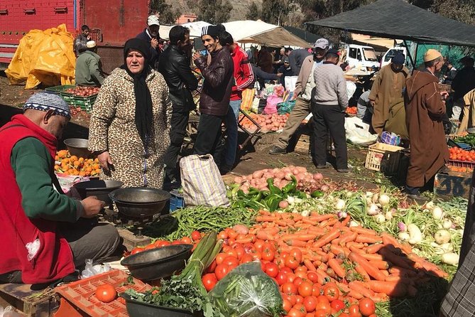 From Marrakech: Atlas Mountains and Berber Villages Day Trip - Lunch with a local Berber family
