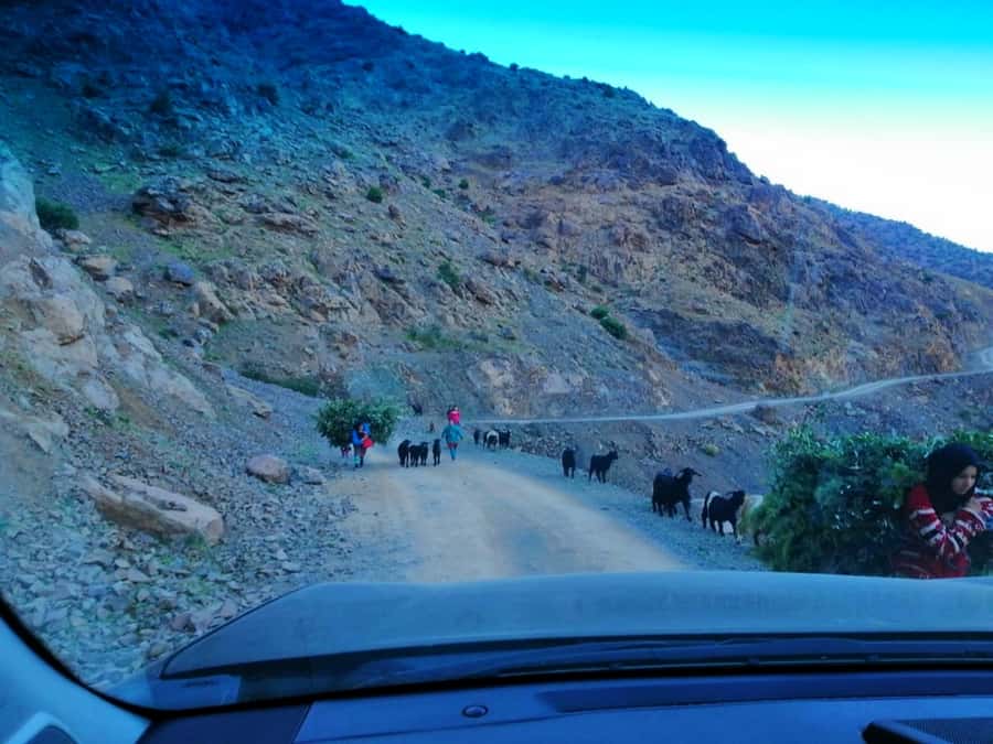 From Marrakech: Atlas Mountains and Three Valleys Day Trip - The camel ride and Agafay’s stony dunes
