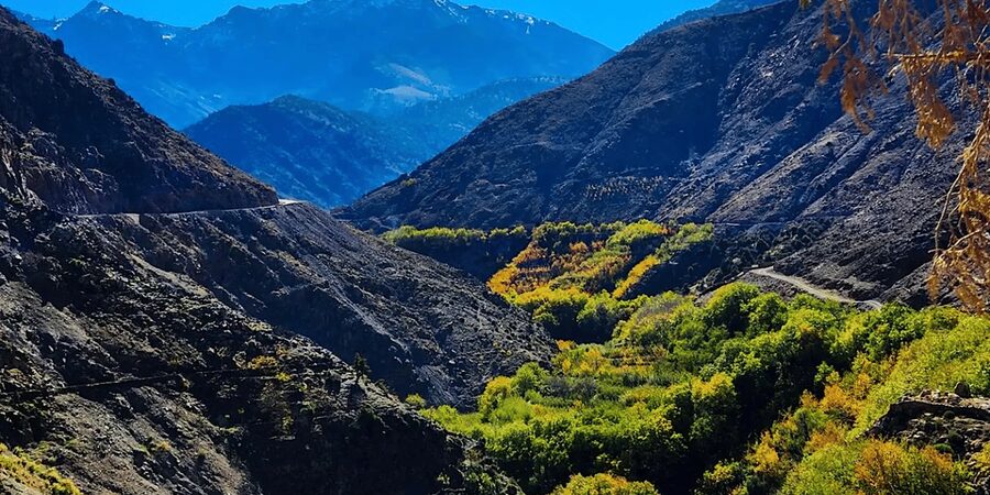 From Marrakech: Atlas Mountains Day Trip with Camel Ride - Lunch in Ait Souka