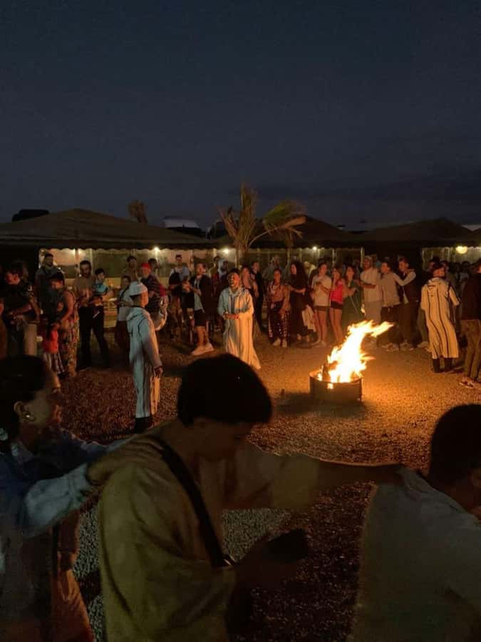 From Marrakech: Camel, Quad Bike Tour, Sunset, Dinner & Show - Key points to know before you book