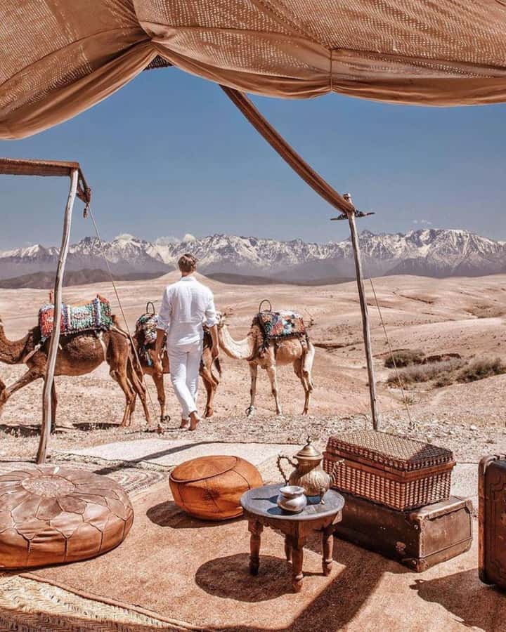 From Marrakech: Camel, Quad Bike Tour, Sunset, Dinner & Show - Agafay Desert, a close-to-Marrakech desert evening