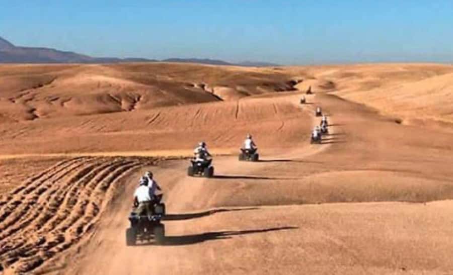 From Marrakech: Camel, Quad Bike Tour, Sunset, Dinner & Show - What $28 really gets you