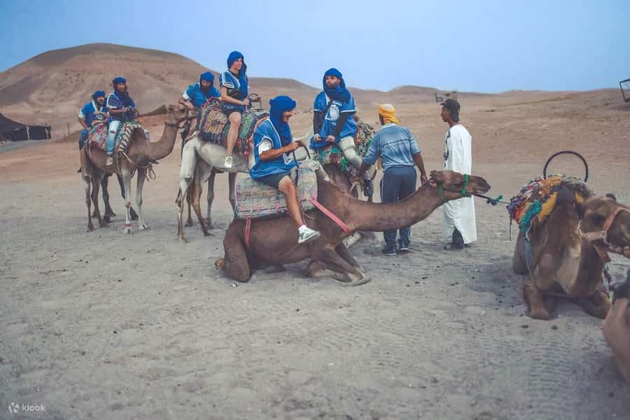 From Marrakech: Camel, Quad Bike Tour, Sunset, Dinner & Show - Who will enjoy this evening most