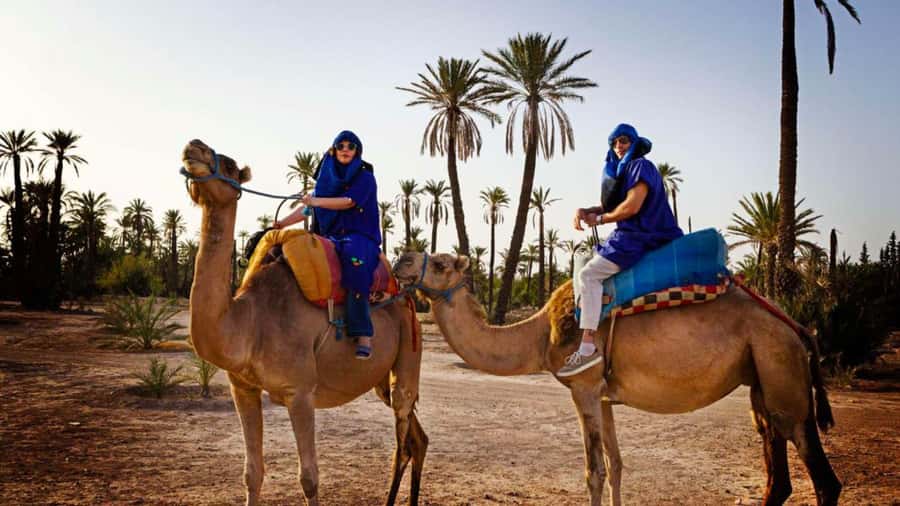 From Marrakech: Camel ride in the oasis palmeraie Grove - Leaving Marrakech for the palm groves
