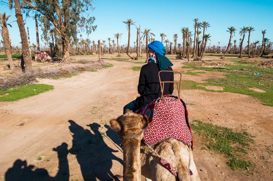 From Marrakech: Camel Ride, Quad Bike & Spa Full-Day Trip - Key points at a glance