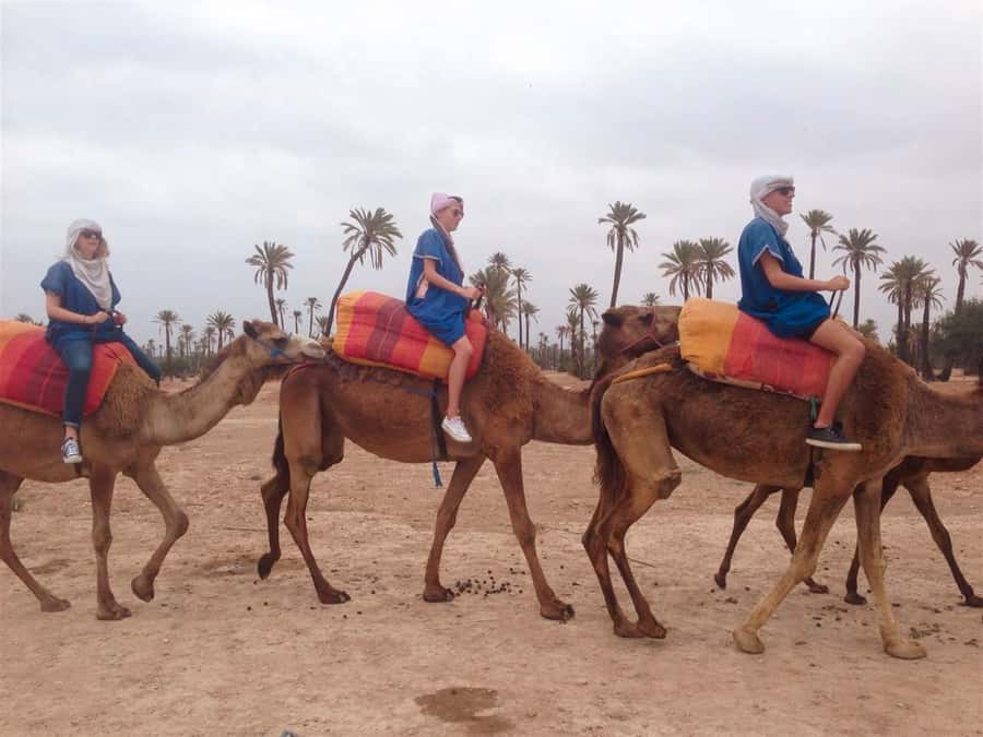 From Marrakech: Camel Ride, Quad Bike & Spa Full-Day Trip - A one-hour camel ride through palms and orange trees
