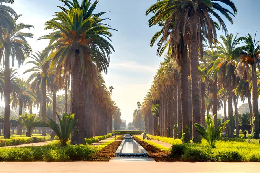 From Marrakech: Casablanca Day Trip by van - Comfort, timing, and what to pack