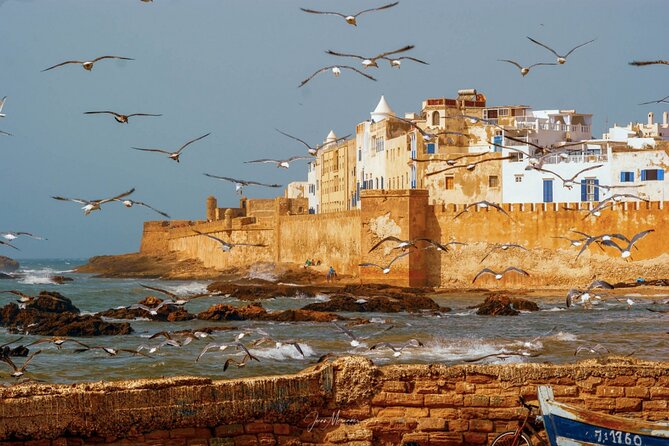 From Marrakech: Day Journey to Essaouira Mogador - Camel riding and the argan cooperative