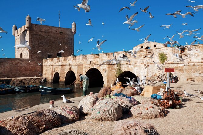 From Marrakech: Day Journey to Essaouira Mogador - If your day is really in the High Atlas