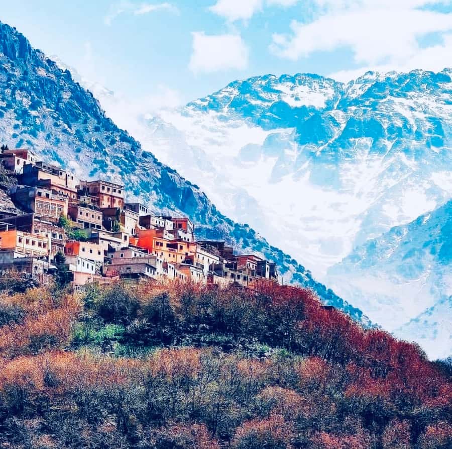 From Marrakech: Day Trip to Anima Garden and Imlil Valley - The two-hour walk to villages and a waterfall