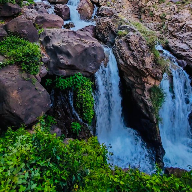 From Marrakech: Day Trip to Anima Garden and Imlil Valley - Berber lunch above the valley