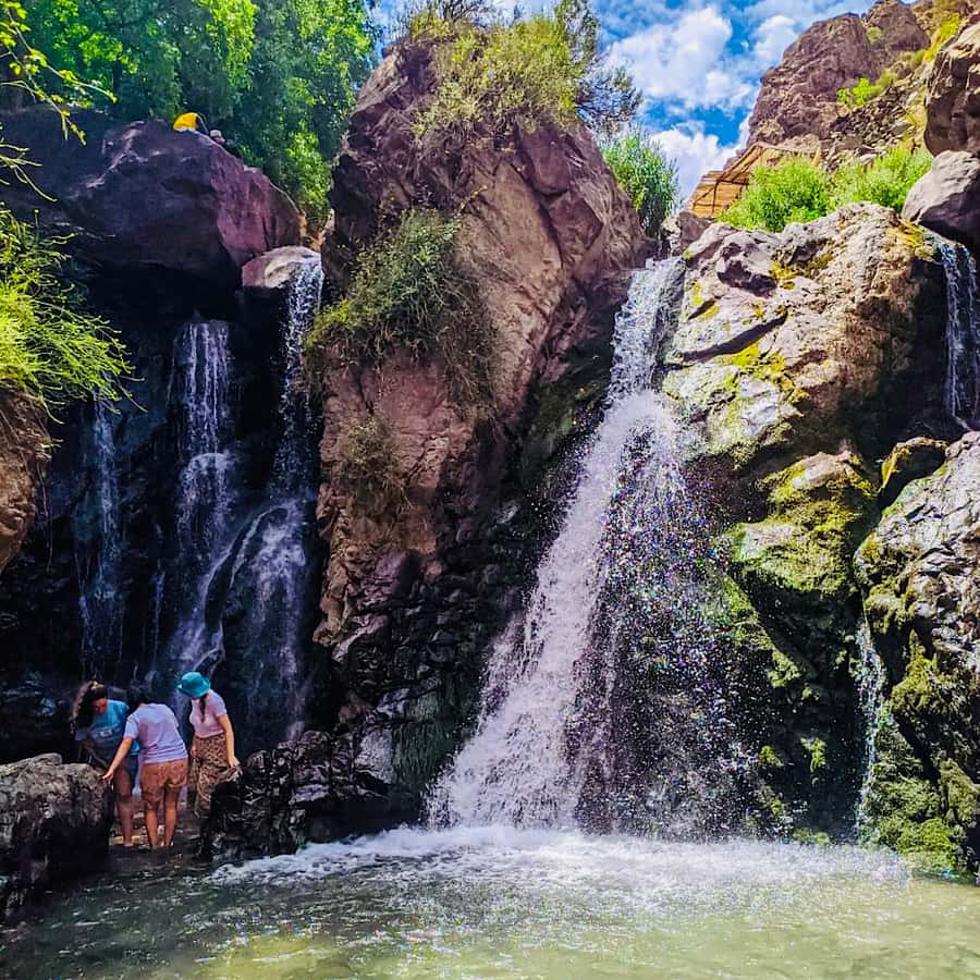From Marrakech: Day Trip to Anima Garden and Imlil Valley - How much value do you get for $39?