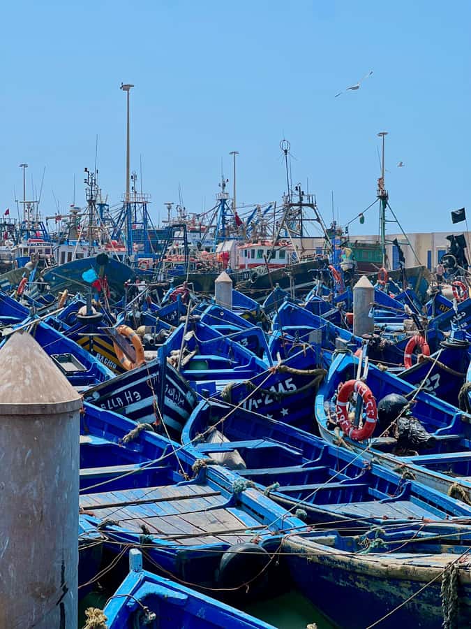 From Marrakech: Day Trip to Essaouira with Transfers - Key points to know before booking