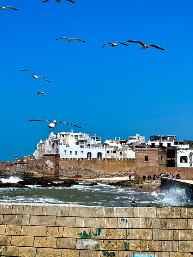 From Marrakech: Day Trip to Essaouira with Transfers - Why Essaouira makes a good break from Marrakech