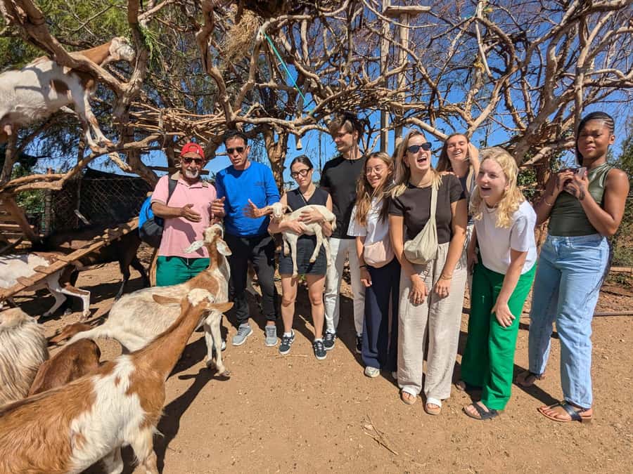 From Marrakech: Day Trip to Essaouira with Transfers - Four hours to find your own Essaouira