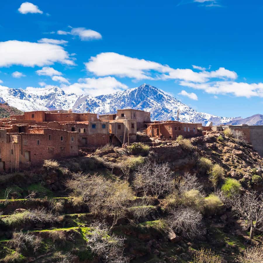 From Marrakech: Day Trip to Ourika Valley with Waterfalls - Lunch beside the Ourika River