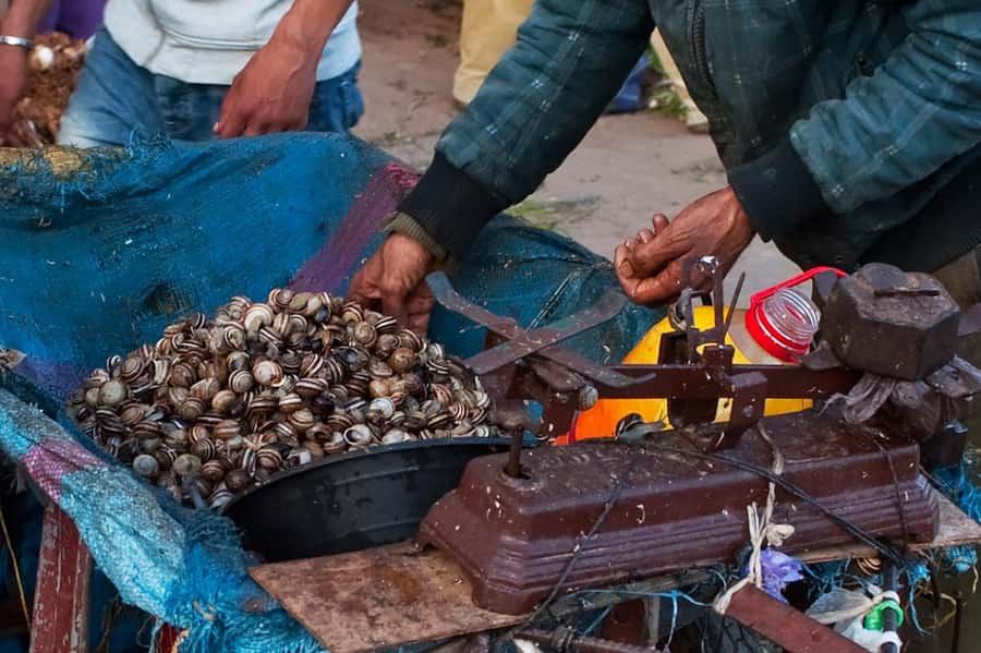 From Marrakech: Essaouira & Atlantic Coast Full-Day Trip - Lunch beside the fishing port