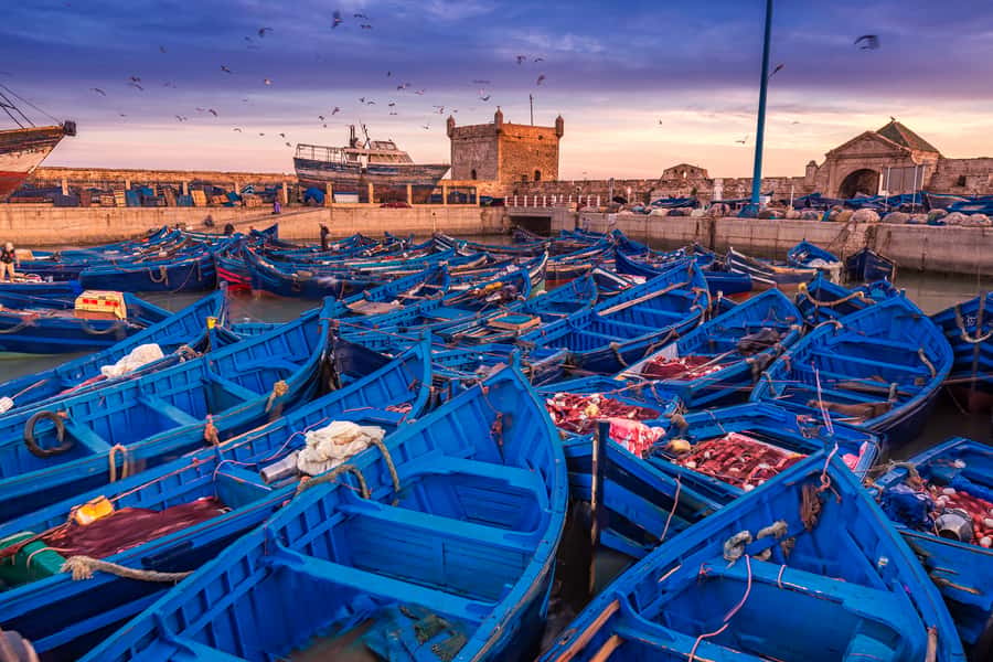 From Marrakech: Essaouira & Atlantic Coast Full-Day Trip - Is $27 a fair price?