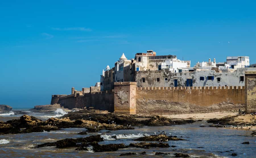 From Marrakech: Essaouira Coastal Escape with Lunch - Transport, group size, and the real value of $8