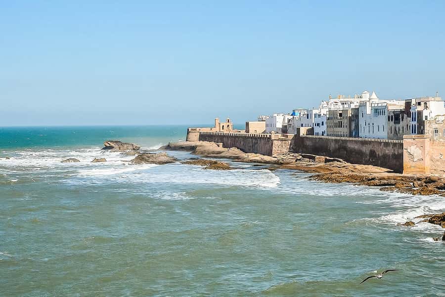 From Marrakech: Essaouira Day Tour with Optional Activities - What the $21 price really buys you