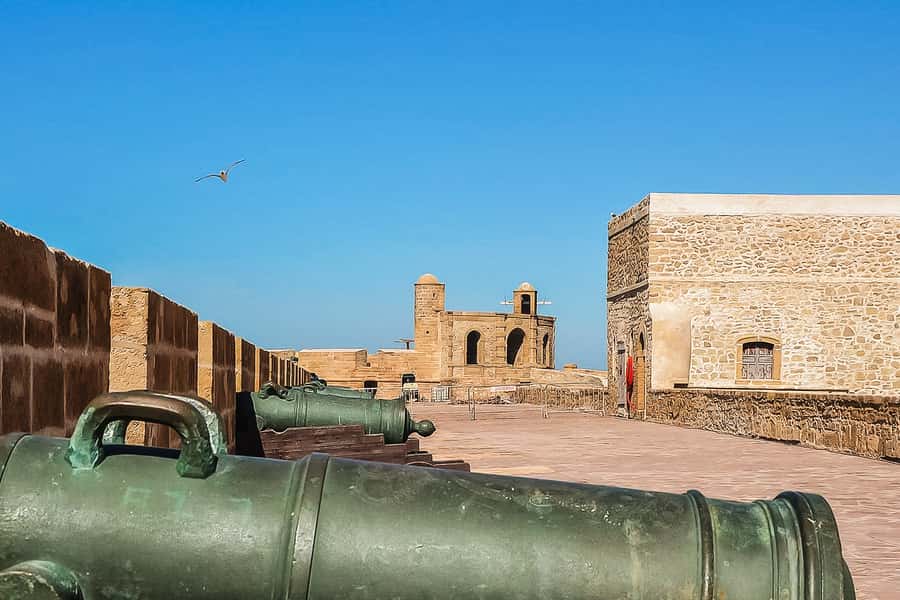 From Marrakech: Essaouira Day Tour with Optional Activities - Four hours to find your own Essaouira