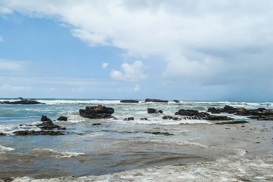 From Marrakech: Essaouira Day Tour with Optional Activities - Eating fresh fish near the port