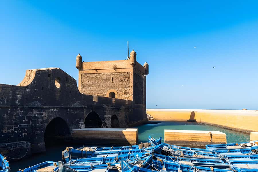 From Marrakech: Essaouira day Trip with camel, horse & quad - Key points to know before booking