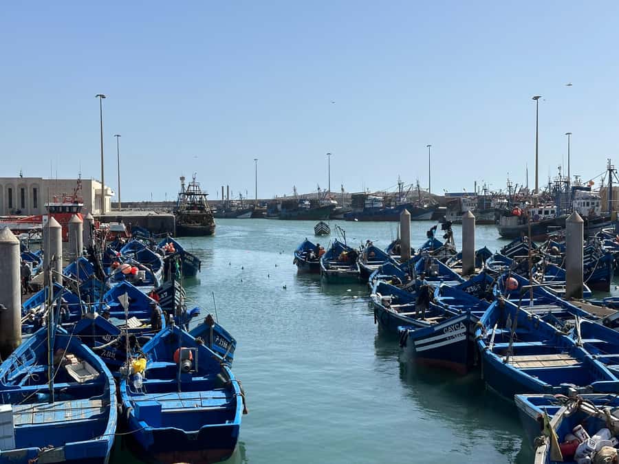 From Marrakech: Essaouira day Trip with camel, horse & quad - Why Essaouira makes a smart escape from Marrakech