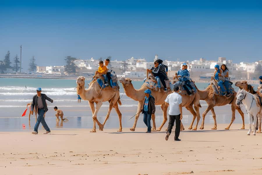 From Marrakech: Essaouira day Trip with camel, horse & quad - Who will enjoy this day trip most
