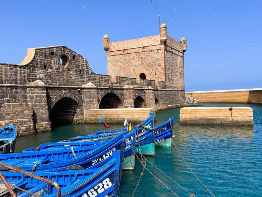 From Marrakech: Essaouira Full day trip, beach and History - Key points at a glance