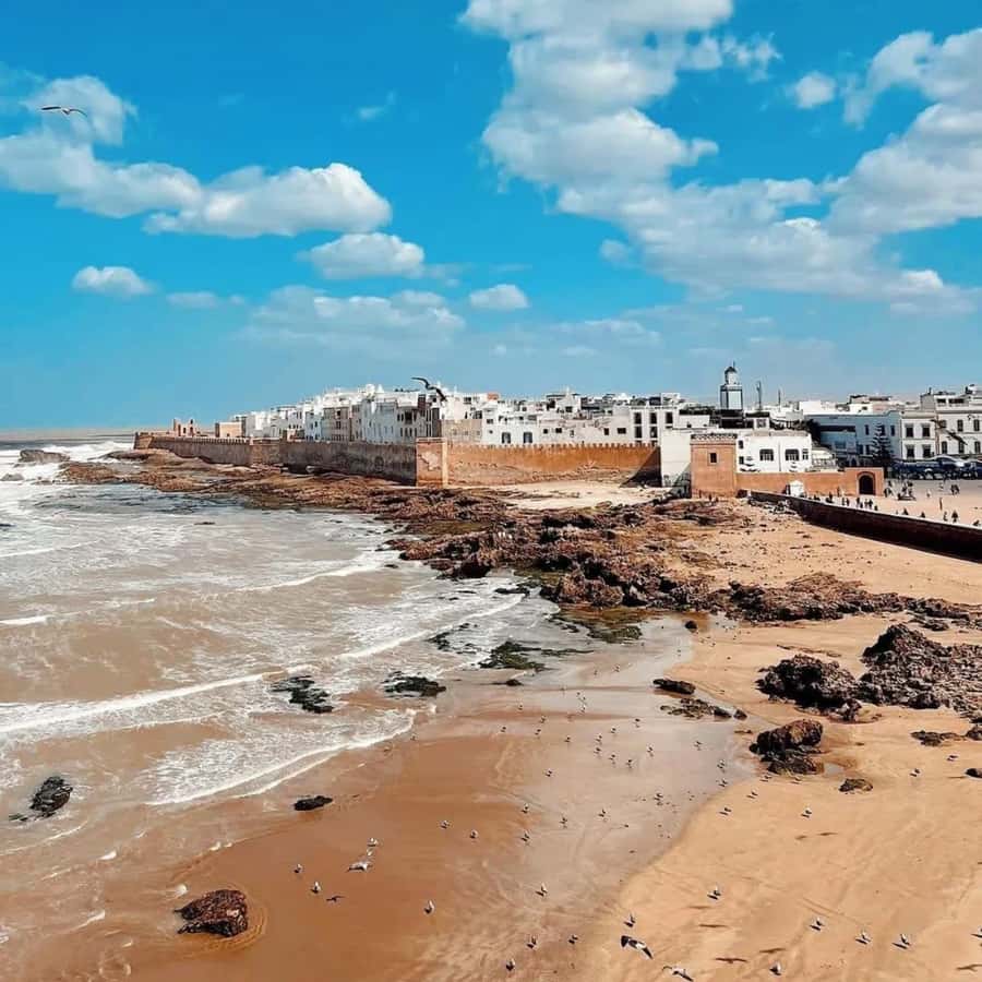 From Marrakech: Essaouira Full day trip, beach and History - What the $16 price really buys you