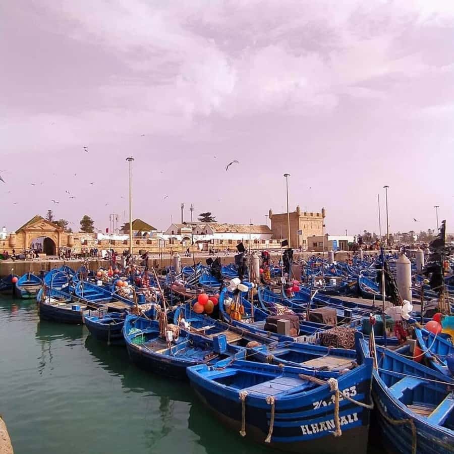 From Marrakech: Essaouira Full day trip, beach and History - The port, seafood market, and Atlantic air
