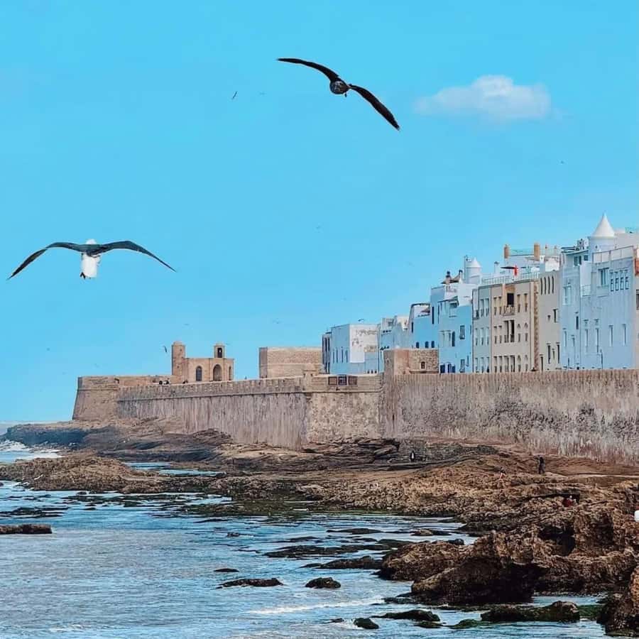 From Marrakech: Essaouira Full day trip, beach and History - Lunch, shopping, and managing your free time