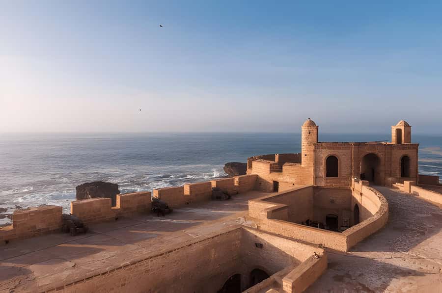 From Marrakech: Essaouira Full-Day Trip with Activities - Key points to know before booking
