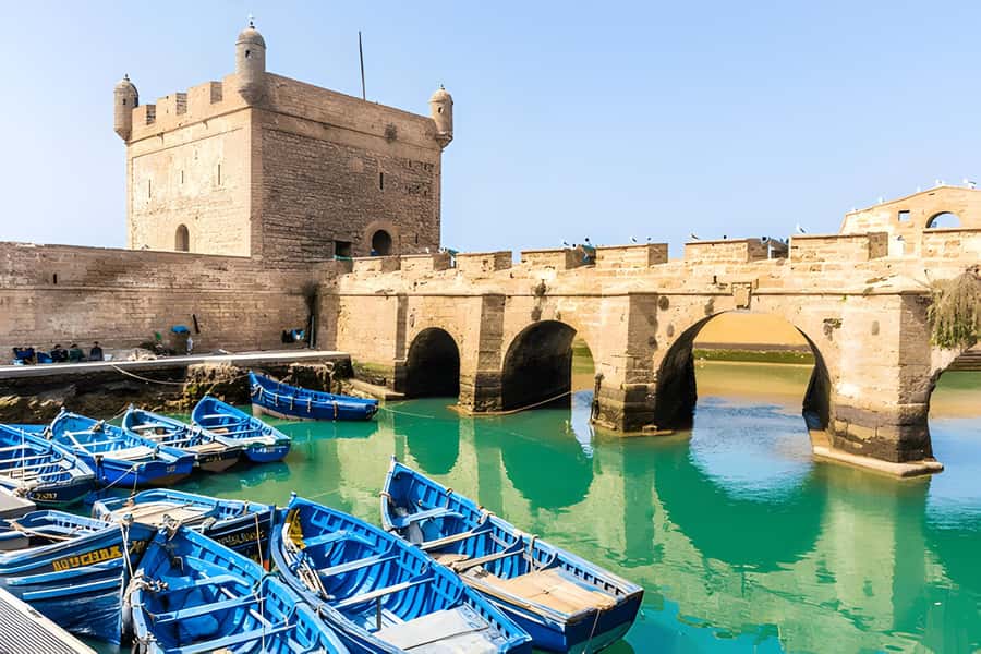 From Marrakech: Essaouira Full-Day Trip with Activities - Walking the medina, shops, and cedar workshops
