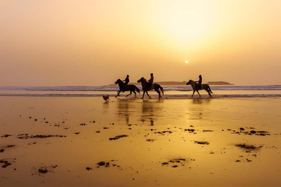 From Marrakech: Essaouira Full-Day Trip with Activities - Portuguese fortifications and Atlantic views