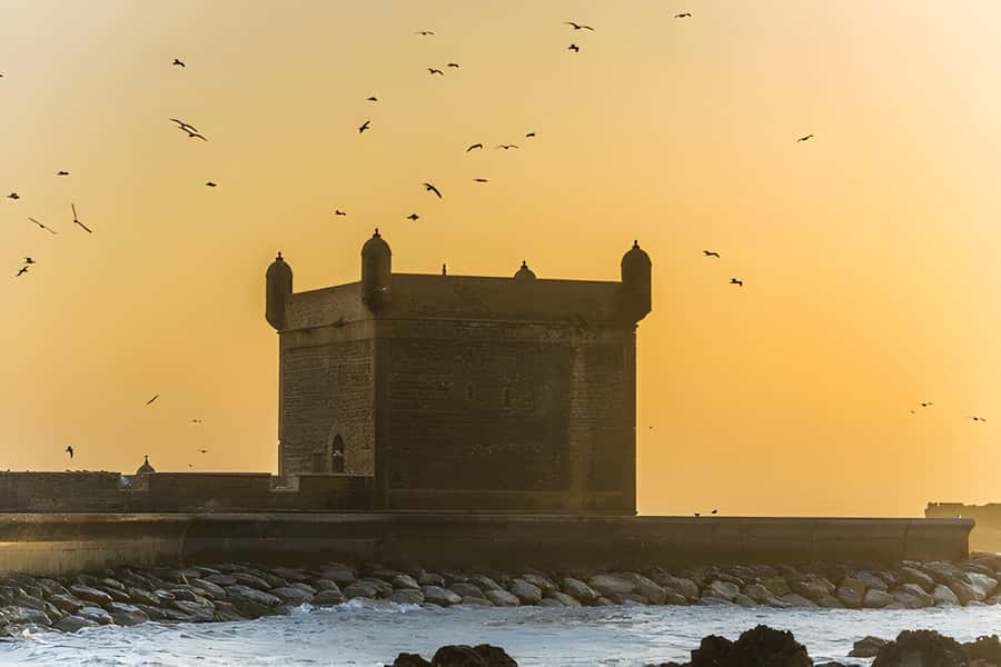 From Marrakech: Essaouira Full-Day Trip with Activities - Who will enjoy this day most?