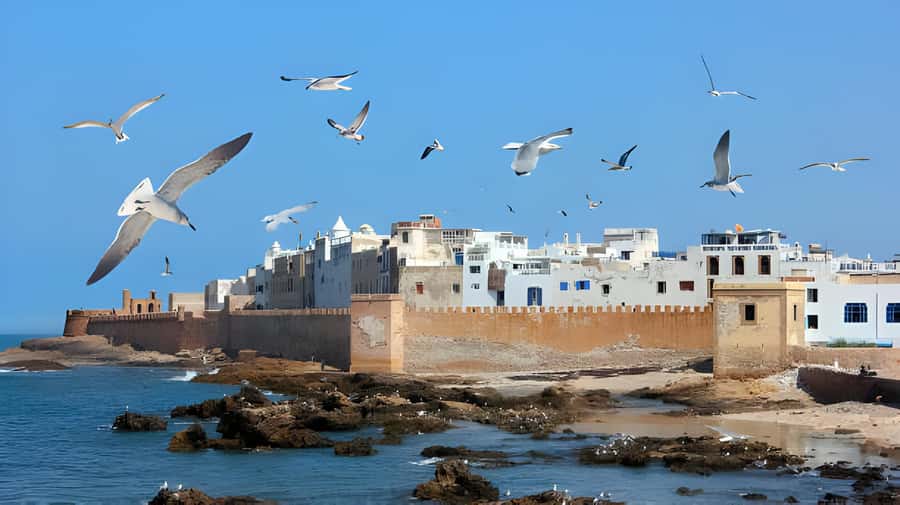 From Marrakech: Essaouira Private Full-Day Trip - Leaving Marrakech through farms and argan country