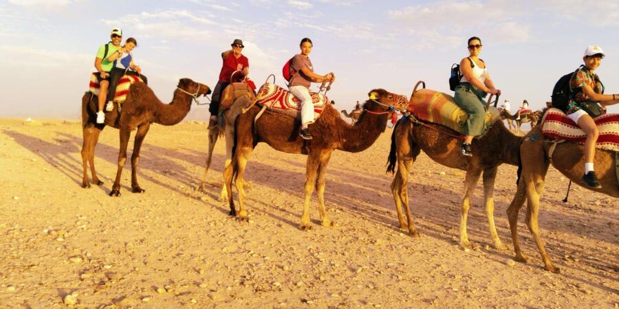 From Marrakech: Full-Day in the Atlas Mountains with Lunch - Waterfalls, villages, and wide mountain views