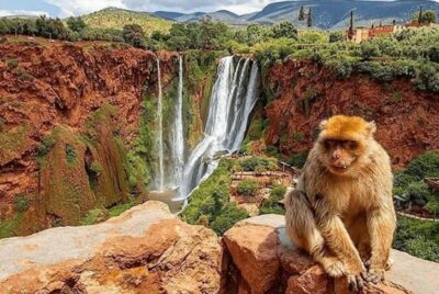 Guided Ouzoud Waterfalls Tour with Boat Ride