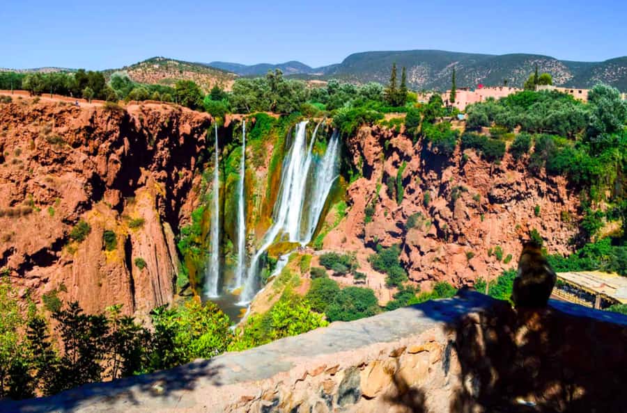 From Marrakech: Guided Ouzoud Waterfalls Tour with Boat Ride - The boat ride beneath the falling water