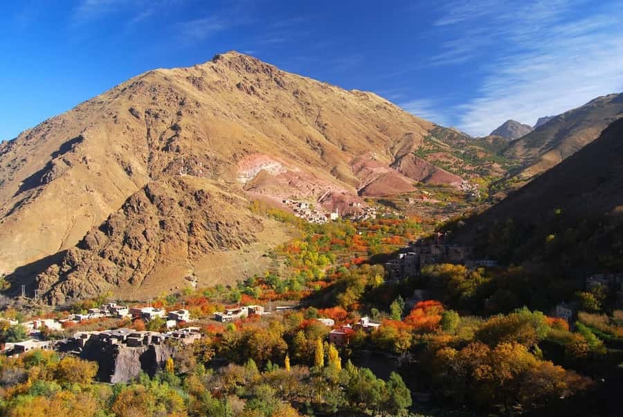 From Marrakech: High Atlas Berber Cooking Class - Key points at a glance