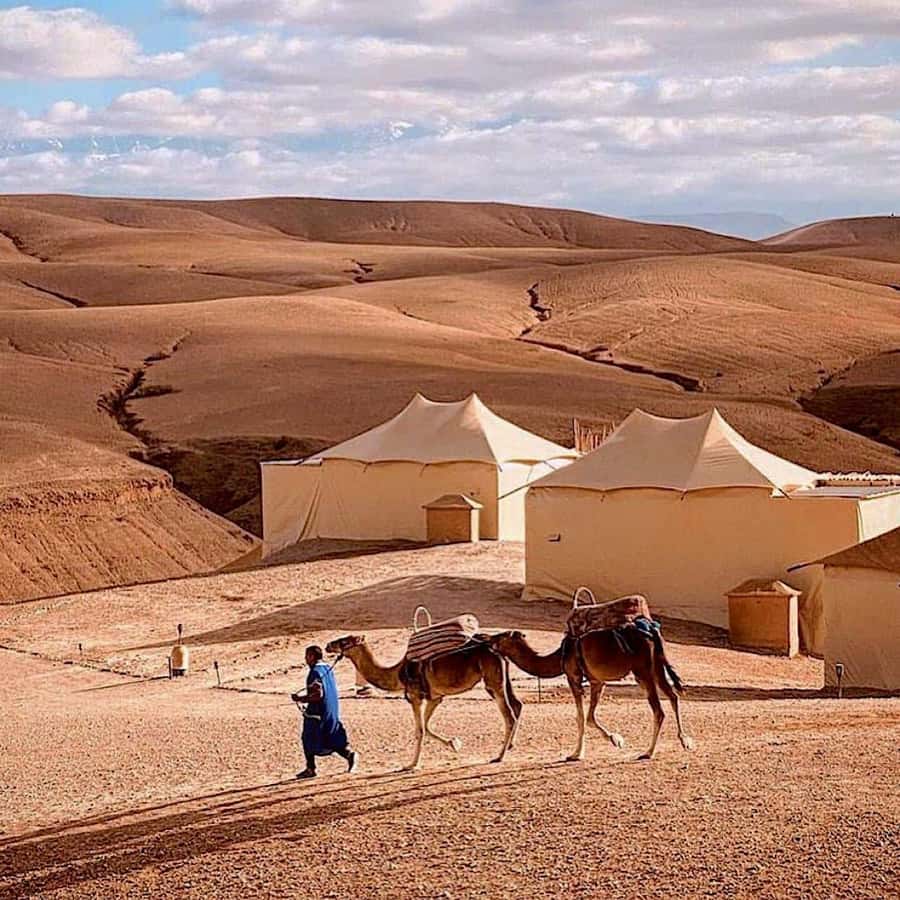 From Marrakech: High Atlas Mountains and 4 Valleys Day Trip - Agafay stop and the camel ride question